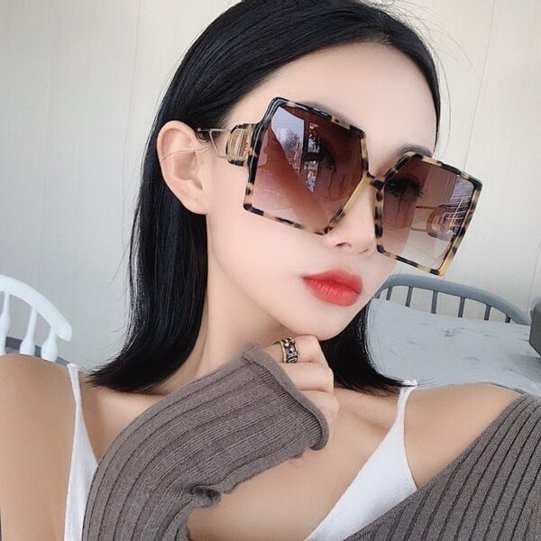 Ladies Square Big Frame Fashion Net Red Same Sunglasses - Image 6