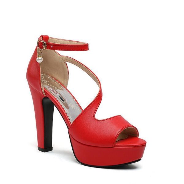 Roman Shoes With Thick Heels For Women - Image 3